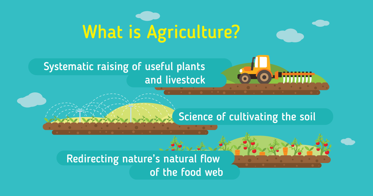 What is agriculture?